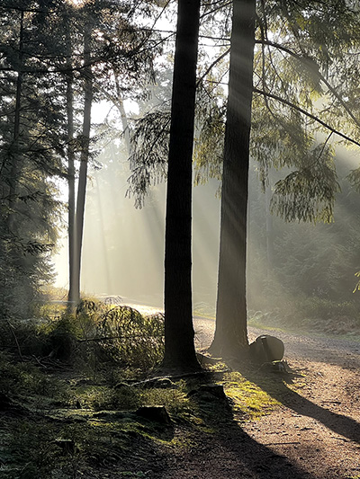 Berg mit HD Pellets für ein Mehrfamilienhaus, dahinter ein Tankfahrzeug von Hoth Brennstoffhandel